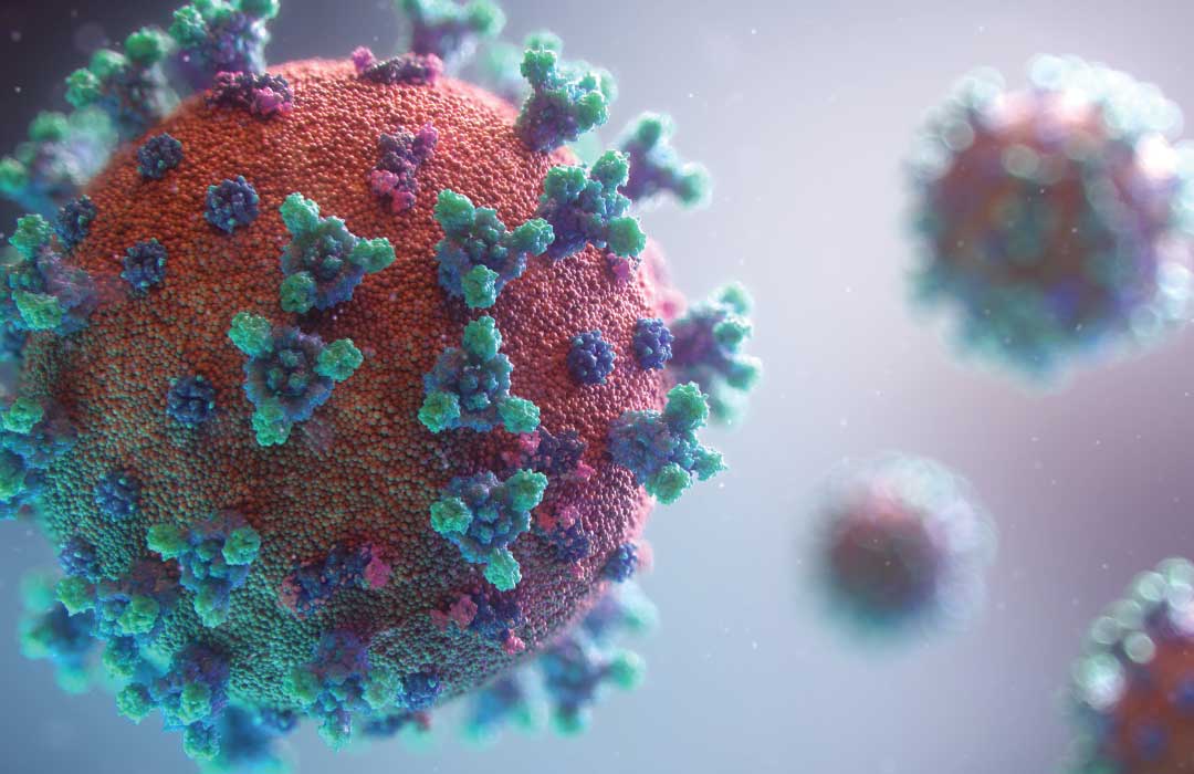Preventing Waterborne Disease, Bacteria, Viruses and Cysts